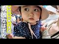 好奇心旺盛な2歳児が未知の動物と対峙した時の反応が可愛すぎました笑