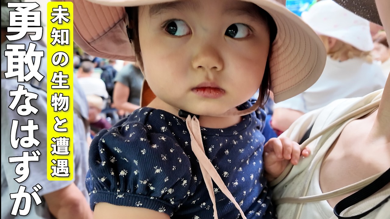 好奇心旺盛な2歳児が未知の動物と対峙した時の反応が可愛すぎました笑