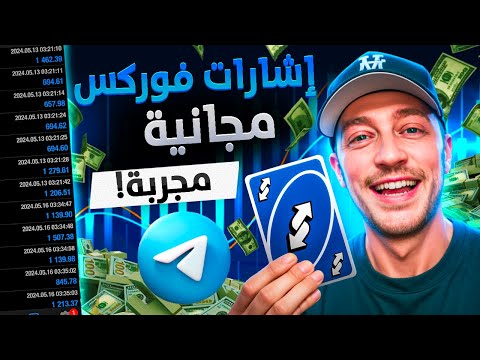 اختبرت أفضل قنوات إشارات الفور المجانية على تليجرام في  النتائج صادمة