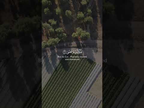 هل أتاك حديث موسى من سورة النازعات بصوت الشيخ عبدالرحمن الماجد