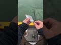 🎣 Kanama Smart Bait Mini- Revive little dead bait fish.