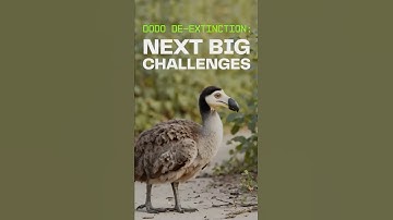 The Next Big Challenges in Dodo De-Extinction