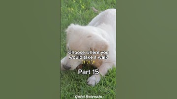 Choose where you would want to take a walk pt.15 #aesthetic #vibes #calm #relaxing #relax #shorts