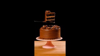 We Tested 50 Chocolate Cake Recipes