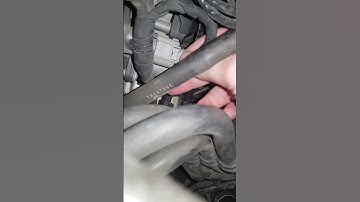VAG EGR OFF  DCM6.2A