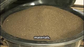 Boost Your Garden with Organic Fertilizers!