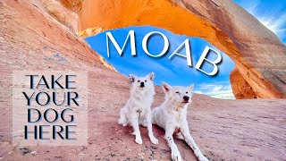 Dog Friendly Road Trip  Ep 6 | Moab, Utah