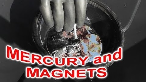 Is Mercury Hg attracted to MAGNETS?