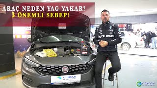 Araçta Yağ Eksiltmesinin 3 Önemli Sebebi | #yağyakımı