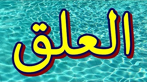 سورة العلق "مكتوبه" - الشيخ الفاتح الزبير