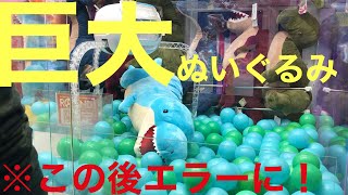 クレーンゲームで恐竜の巨大ぬいぐるみを取る！恐竜アウカサウルスを3本爪のクレーンゲームで狙います。途中で思わぬハプニングも！？最後に反省会もやっているので見てください