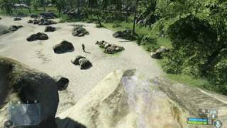 Crysis Bug