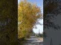 Осенняя посиделка в Садовое