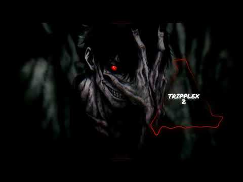 TRIPPLEX 2 SLOWED AND REVERB XEOE