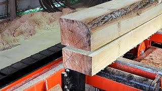 Logs to Lumber: Saw Milling, Kiln Drying, and Track Loader Work