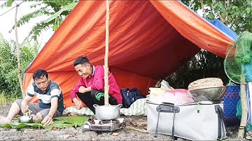 Dựng trại cắm câu đêm ll trúng mánh cá trê già quá đã