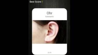 Flashcards Pro