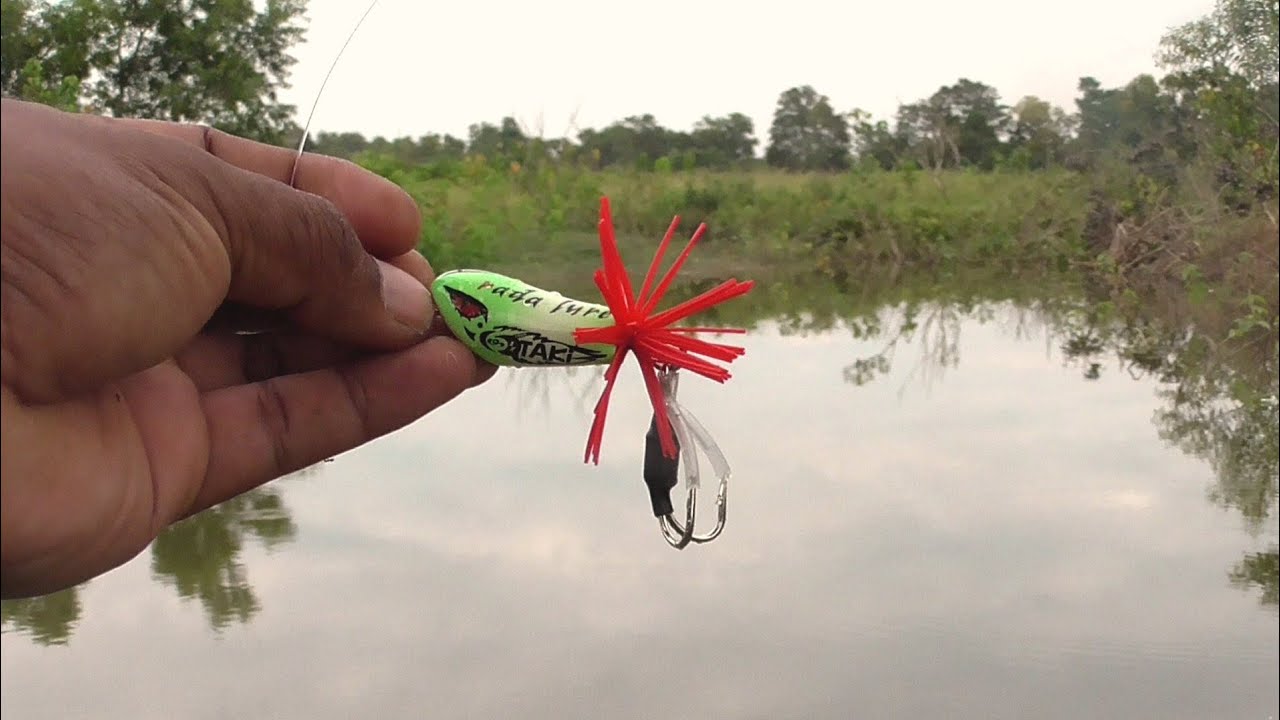 Test Action TAKI frog Auot Wtd - Hijau || rada lure
