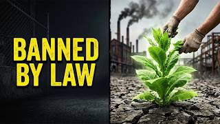 The "Weed" They Made Illegal (Because It Feeds a Family)