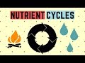 Nutrient Cycles: Carbon, Water, And Nitrogen Explained