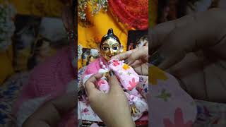 ठाकुर जी को सेवा 🪷🤗♥️ #thakurji #service #harekrishna #laddu #shortsfeed #laddugopal #viral #radha