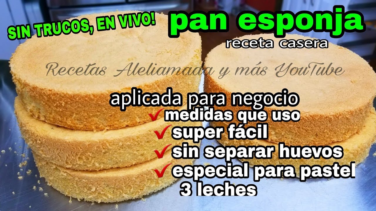 PAN ESPONJA 8