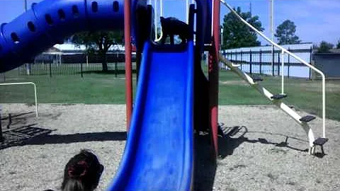 Puppy having fun.