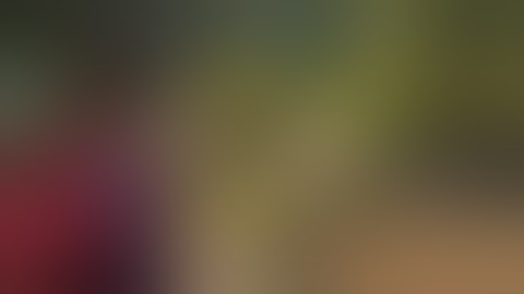 We Are Number One the one is replaced with Shrek Has Swag 2