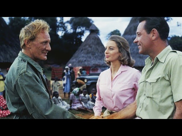 Enn Xeteuey yalangoch filmografiyasi