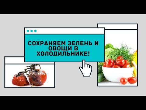 Как правильно хранить свежие помидоры и огурцы. Так они не сгниют!