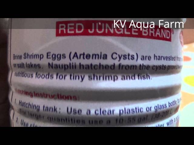 Order OSI Yellow Ring Artemia Cysts 454gm Online From Surya Aquarium  Products,Pantheerankave