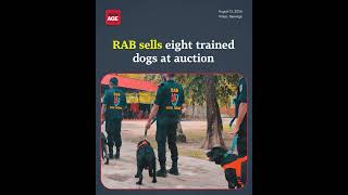RAB sells eight trained dogs at auction