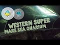 BURNHAM-ON-SEA. MY HOLIDAY 2017. DAY 2. VISITING WESTON SUPER MARE-SEA QUARIUM