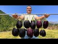 Un couple dermites cuisine des aubergines avec une farce  la viande trs juteuse