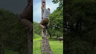Kano husband climbed tree😱 #filamcouple #funny #philippineprovinces