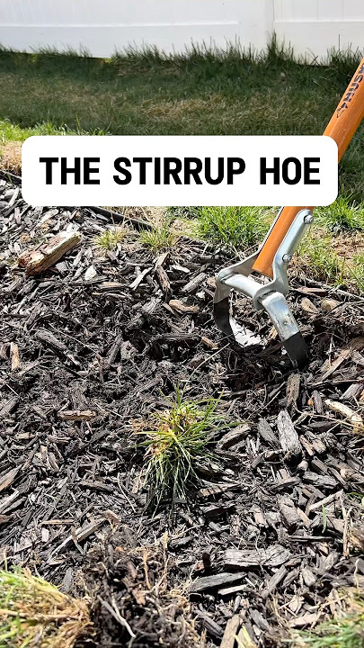 The Best Weeding Tool for Mulch Beds? Stirrup Hoe in Action!