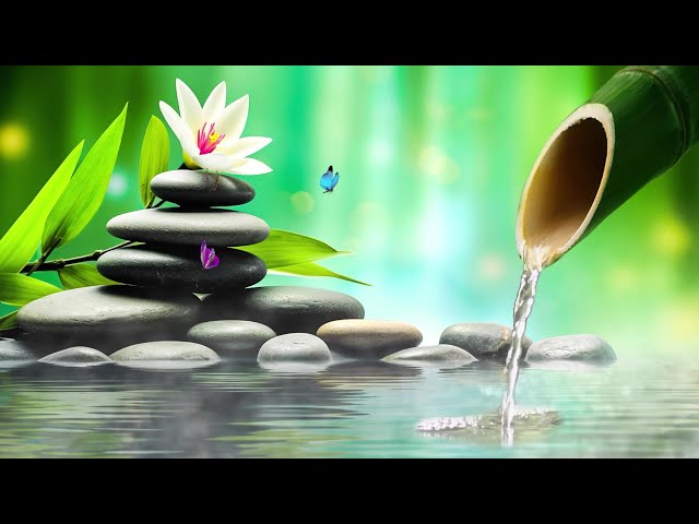 Mind Relaxing Music, Meditation Music, Relaxing Sleep Music, Spa, Water Sound, Bamboo class=