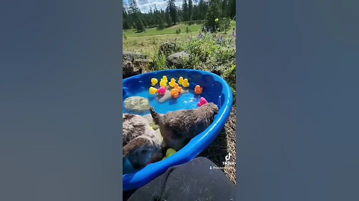play time!