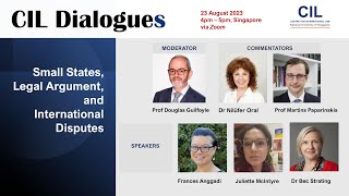 CIL Dialogues: Small States, Legal Argument, and International Disputes