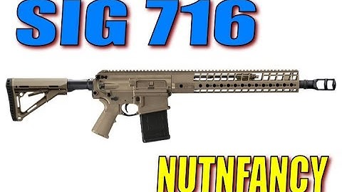 Cover Image for Sig 716 Review- Nutnfancy
