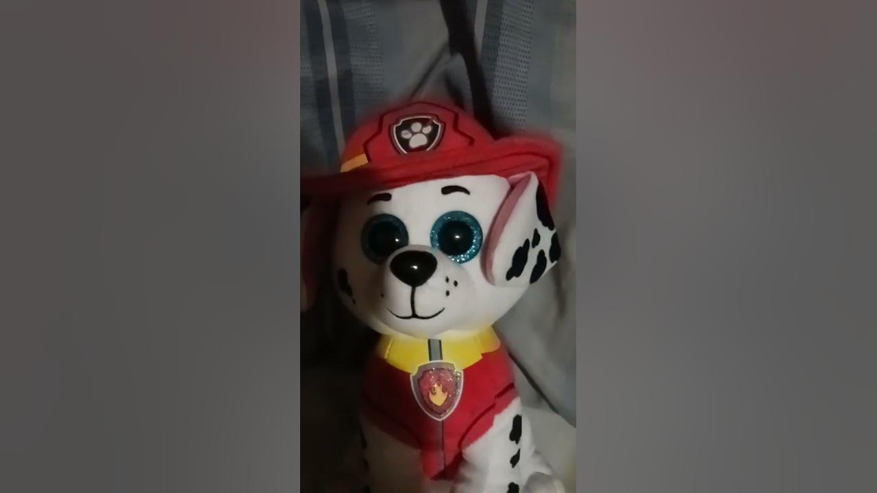 Paw Patrol and the chicken nuggets YouTube