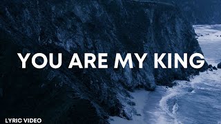 You Are My King | Amazing Love | Hillsong United (Lyrics)