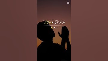 تلاوة خاشعة للشيخ ياسر الدوسري
