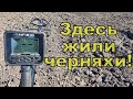 Копаем древнюю черняховскую поселуху! Поиск с NOKTA Anfibio Multi! Фильм 134