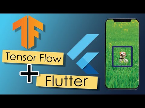 Flutter TensorFlow lite | Basic Setup | Object Recognition | MobleNetSSD