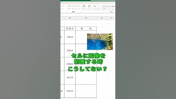 Excelで画像がズレるの、地味にストレスですよね。「Alt＋ドラッグ」でセルにぴったり合わせられます✨中央揃えも簡単！  #excel #エクセル #エクセル時短 #仕事効率化