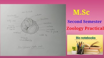 M.sc Second semester Zoology Practical 📚✍️🙂.