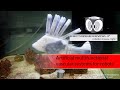 Artificial blood circulatory system for robots i r3 roboys research reviews 12