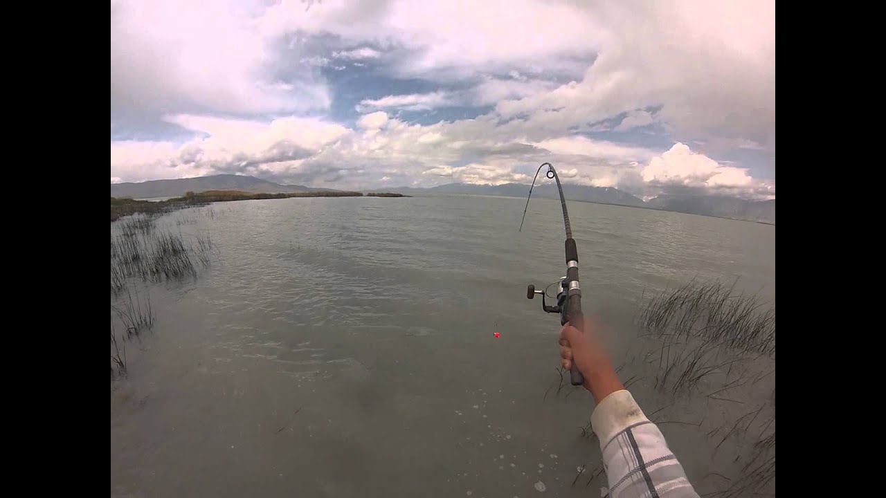  utah lake fishing - YouTube