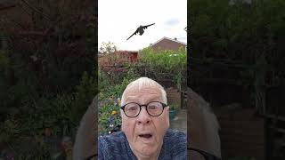 #dudleyairport #lowflight #eroplano #assortedgames #mixedgames #gametime #gameplay #gameaddict #play